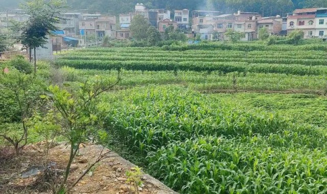 多宝体育官方入口-下一代都不回农村，还有必要回老家建房吗？说回农村建房人傻的，才是真不懂