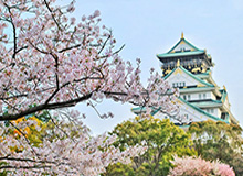 多宝体育登录入口-雄鹿主控布莱德索新冠检测阳性 无症状且尚未归队